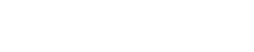 Momentum logo White